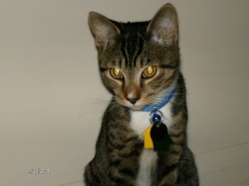 Bubbly925 profile photo