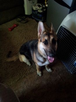 Roomhunter24 profile photo