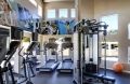 Fitnessguru profile photo