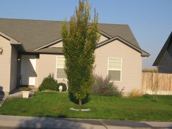 Rabmab profile photo
