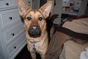 Casey0927 profile photo