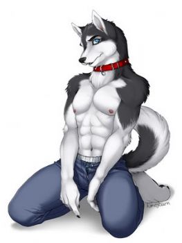 Furrydude profile photo