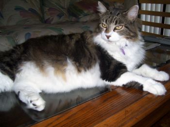 Roxi5775 profile photo