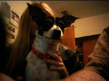 Undeath66 profile photo