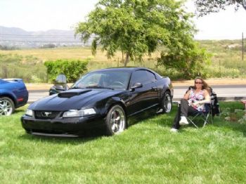 Mustangluvr profile photo