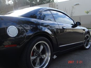 Mustangluvr profile photo