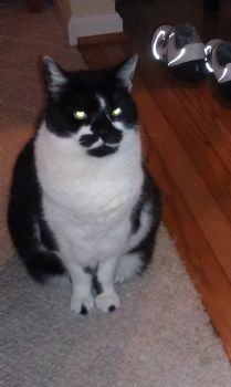 Mollystacy12 profile photo
