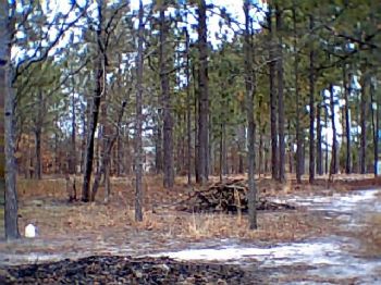 100Frankie profile photo