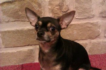 Pcroomate profile photo