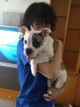 Hiokei profile photo