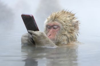 Mikenola profile photo