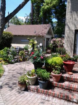 Ardsleypk profile photo