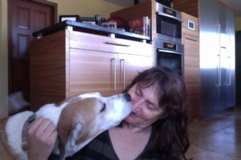 Danese profile photo