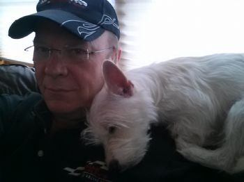 Dstamp profile photo