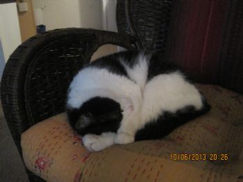 Sophie8 profile photo