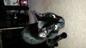 Iszy profile photo