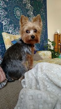 Bayleaves profile photo