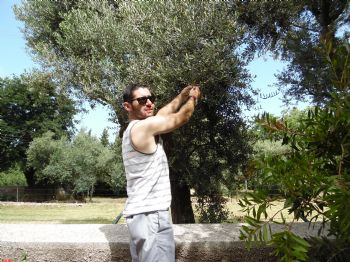 Arallo profile photo
