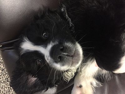 Shelby_Dp profile photo