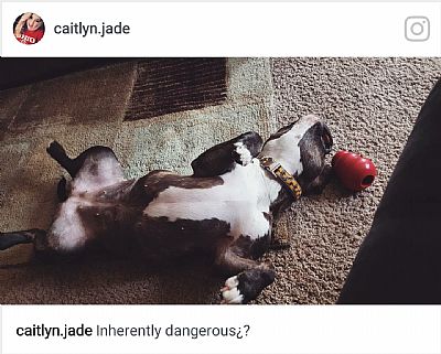 Caitlynjade profile photo