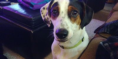Gabrielle98 profile photo