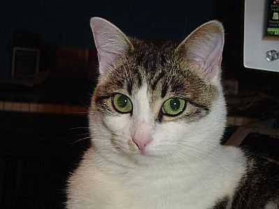 Tomsona profile photo