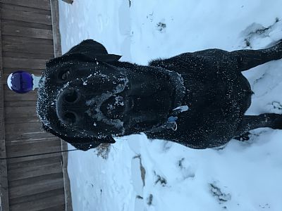 Schwa_E profile photo