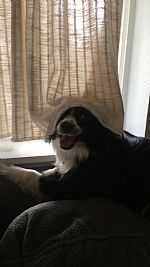 Lenzryan14 profile photo