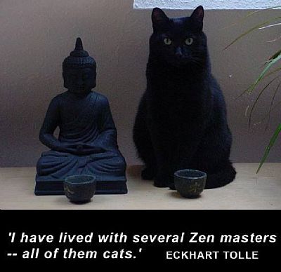 Aerkan profile photo