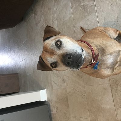 Teabird profile photo