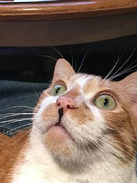 Scollopy profile photo