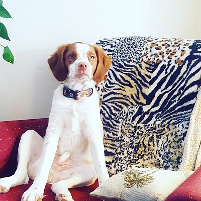 Priscillakreft profile photo