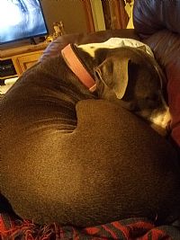Kourterbag profile photo