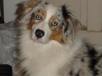 Magnadude profile photo