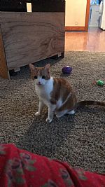 Abbyro profile photo