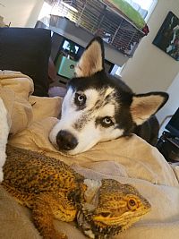 Kcattle profile photo