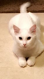 Ryritch profile photo