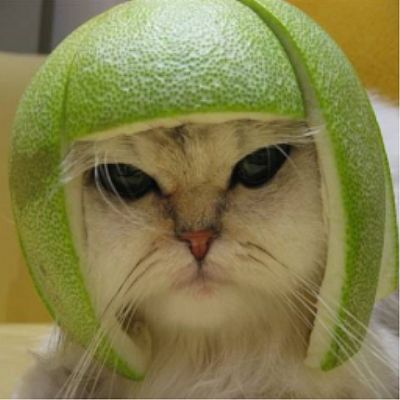 Rhondak profile photo