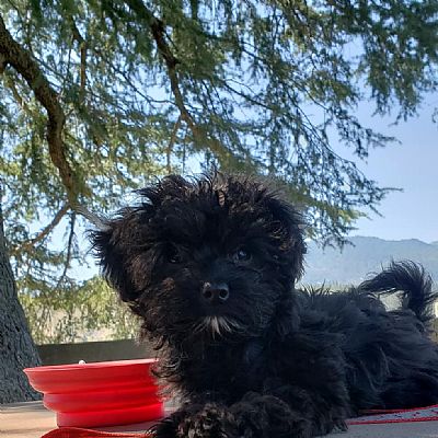 Aserrano6 profile photo