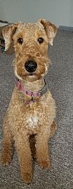 Lindy1 profile photo