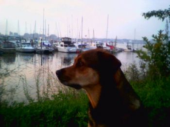 Yipydyak profile photo