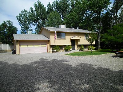 Simplot1 profile photo