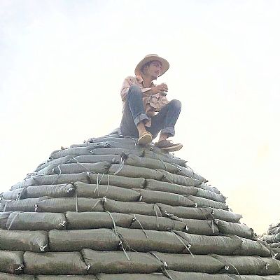 Harryschaeffer profile photo