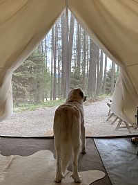 Joycubero profile photo