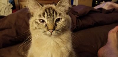 Chrissmax profile photo