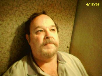 Tomeraider profile photo