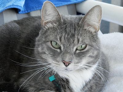 Ruecas profile photo
