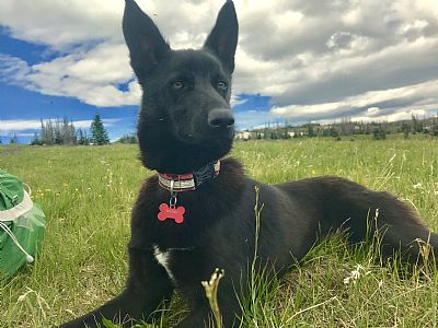 Obinjatoo profile photo