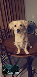K_Morrissette profile photo