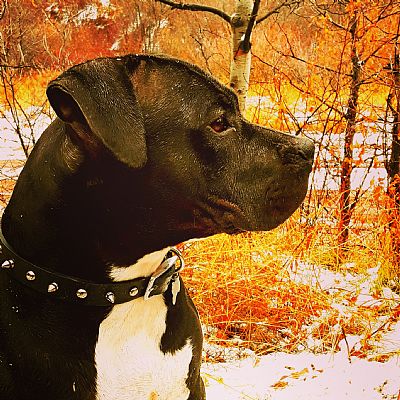 Dmedina3318 profile photo